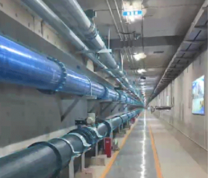 豪运国际-追求康健,你我一起生长