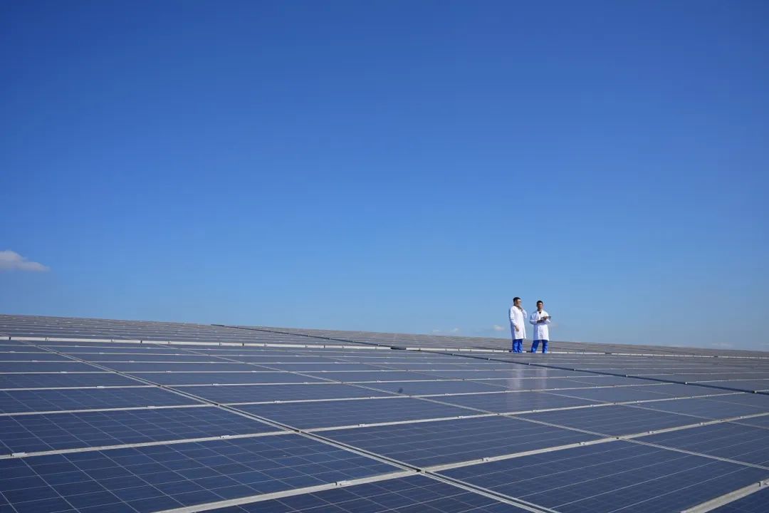 豪运国际-追求康健,你我一起生长